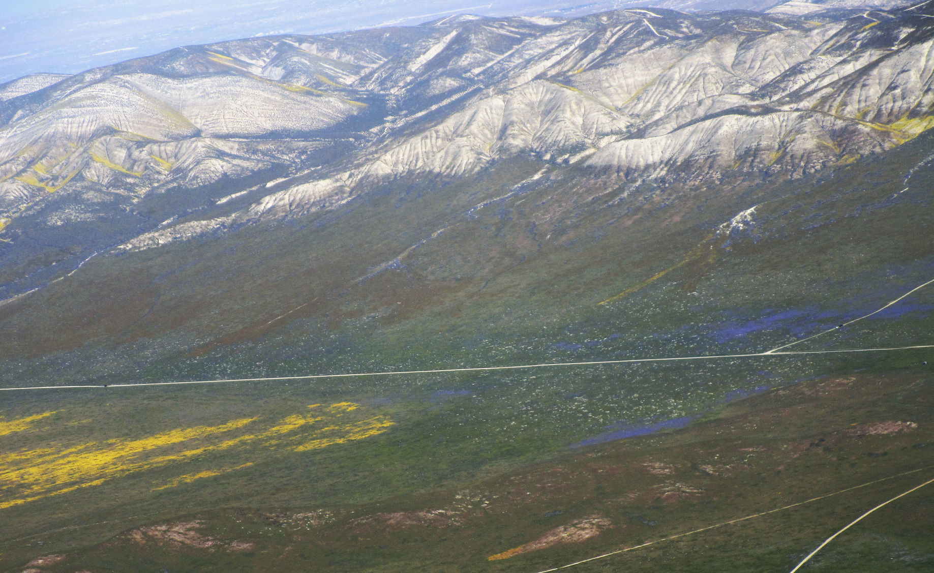 041319 Superbloom Soda Lake 05.jpg